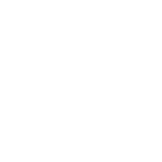 Carrot Icon