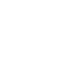 Carrot Icon