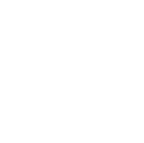 Peanut Icon