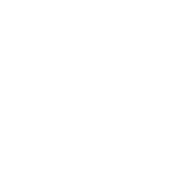 Peanut Icon