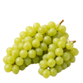 szőlő